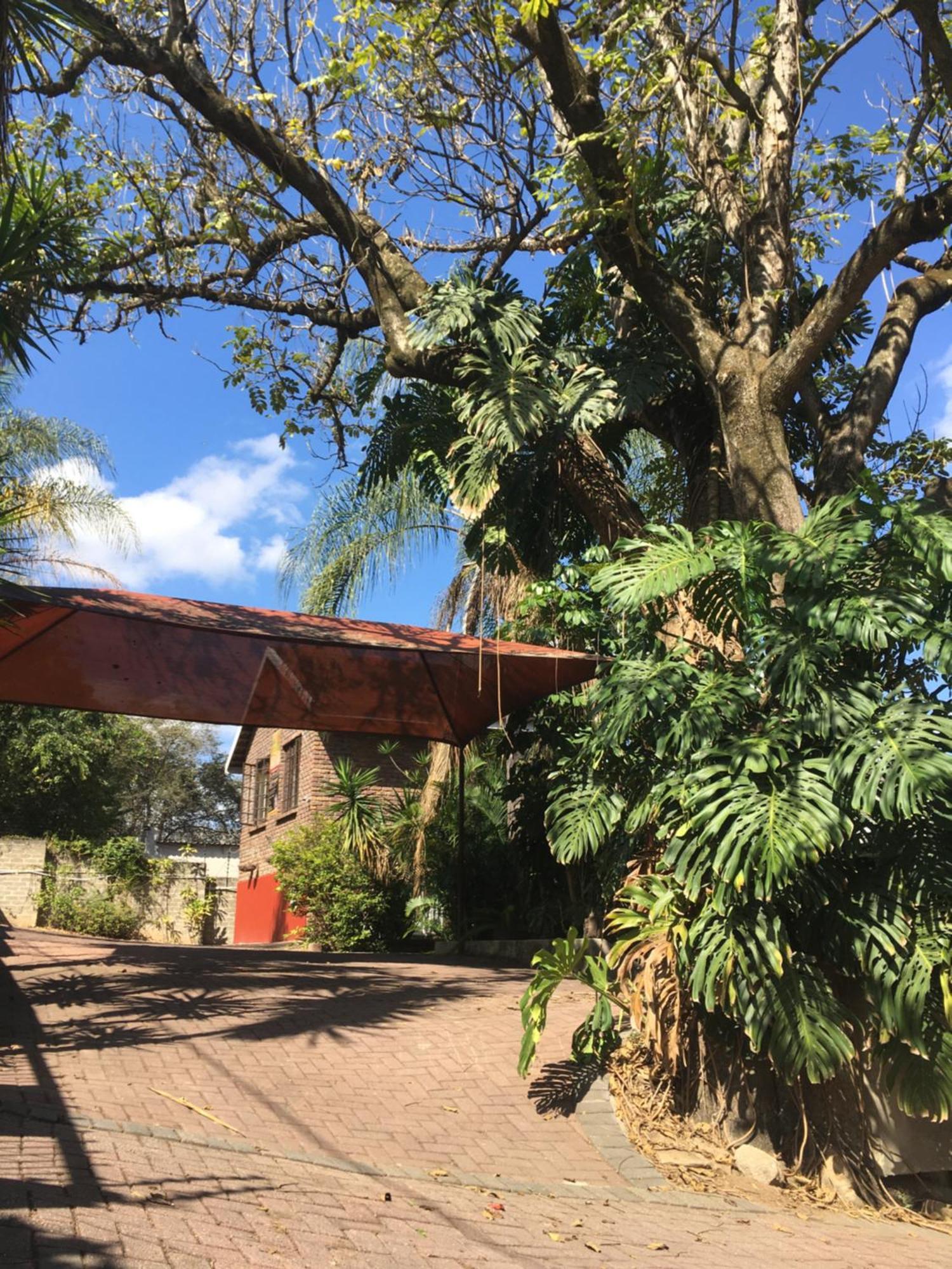 נלספרויט Old Vic Travellers Inn Nelspruit מראה חיצוני תמונה